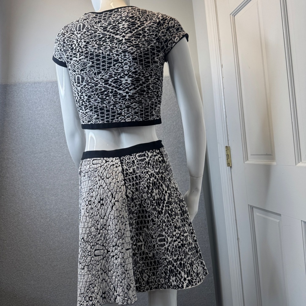 Nina Crop Top & Skirt Set in Jacquard Knit by Designer Parker Skater Mod Small - Picture 9 of 12
